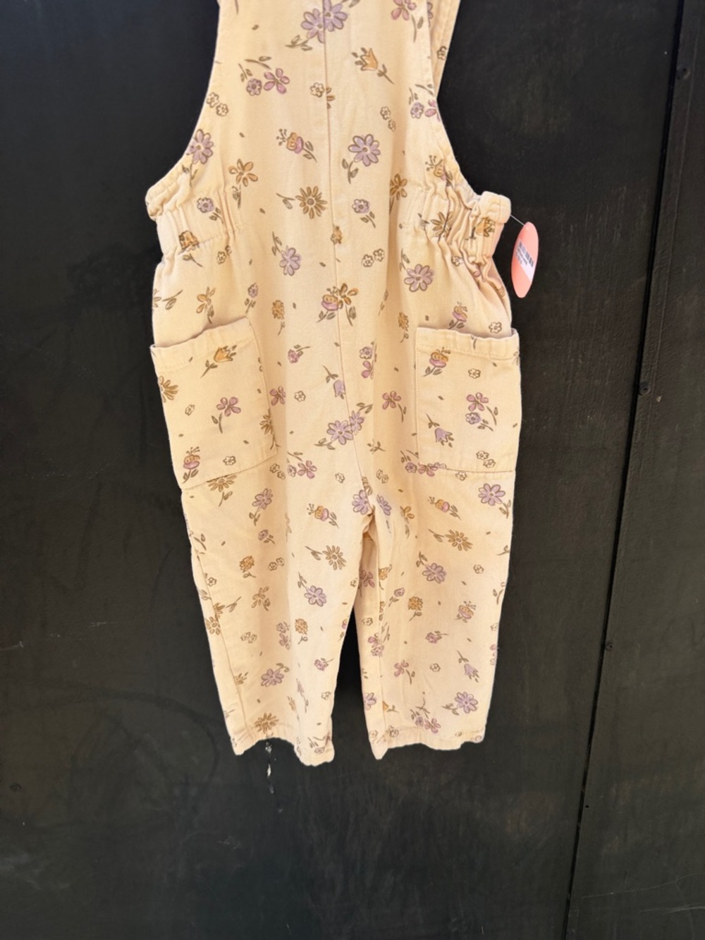 Zara Cream Overalls with Purple & Floral Print 2-3T
